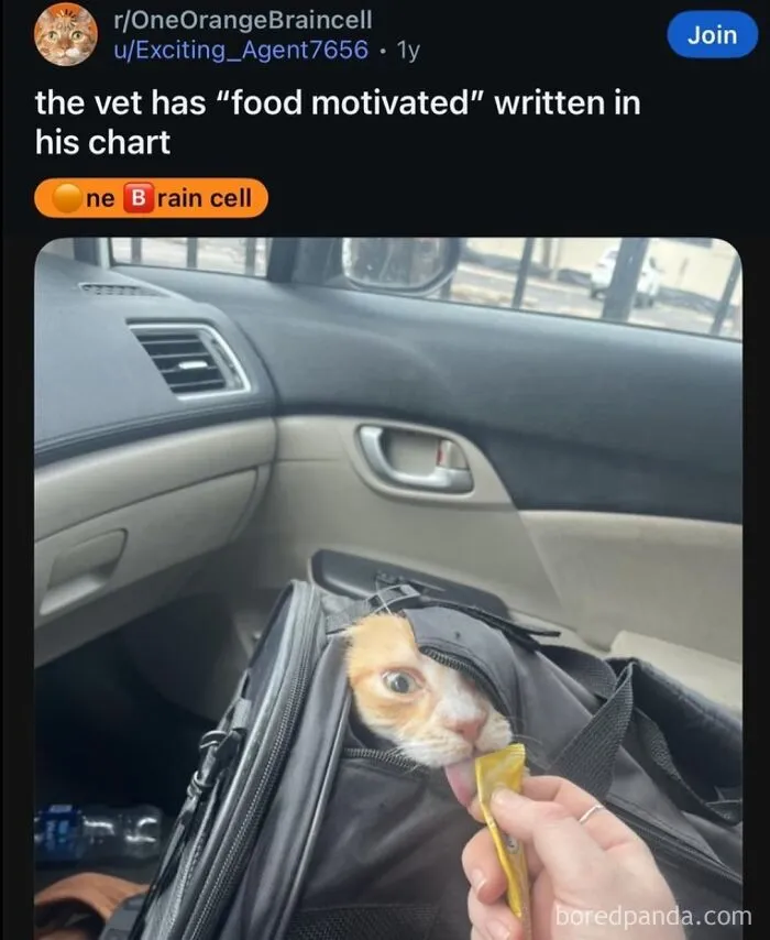 63 Memes That Need Absolutely Zero Context To Be Funny