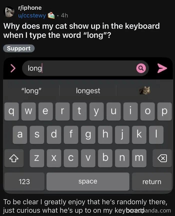 63 Memes That Need Absolutely Zero Context To Be Funny