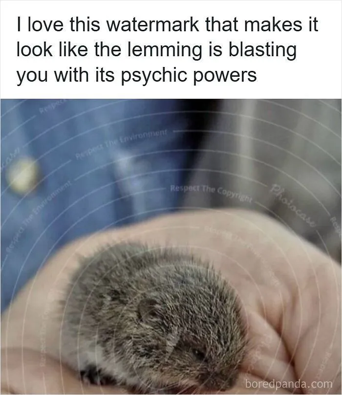 63 Memes That Need Absolutely Zero Context To Be Funny