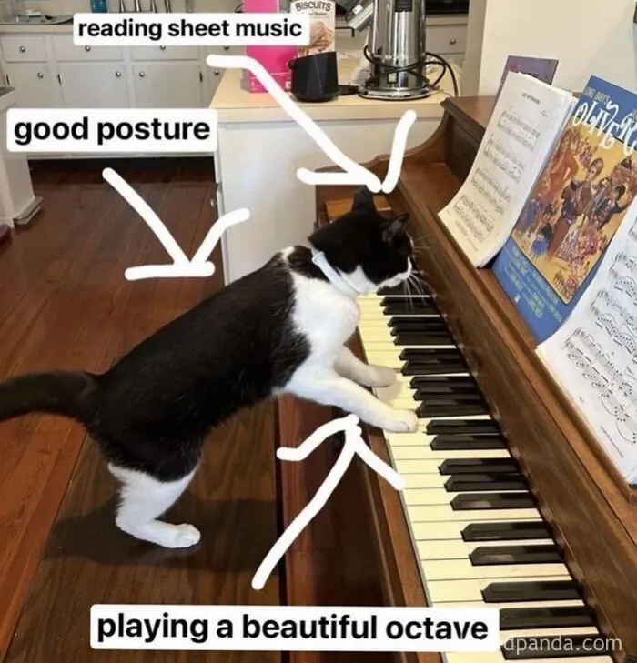 63 Memes That Need Absolutely Zero Context To Be Funny