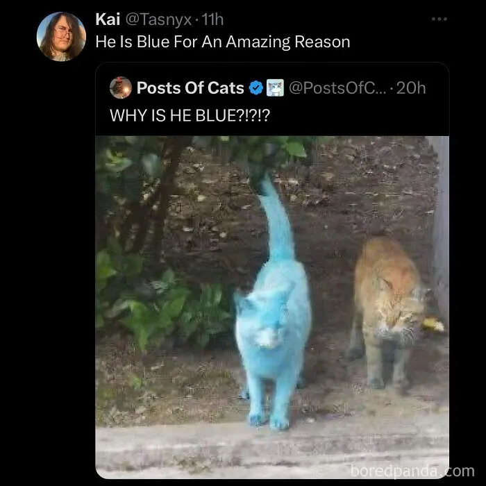 funny-out-of-context-posts