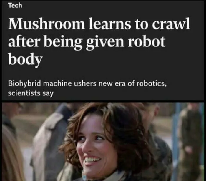 I For One Welcome Our New Mushroom Overlord, I Mean They Can't Do A Worse Job Than The Current Super-Rich Narcissists?