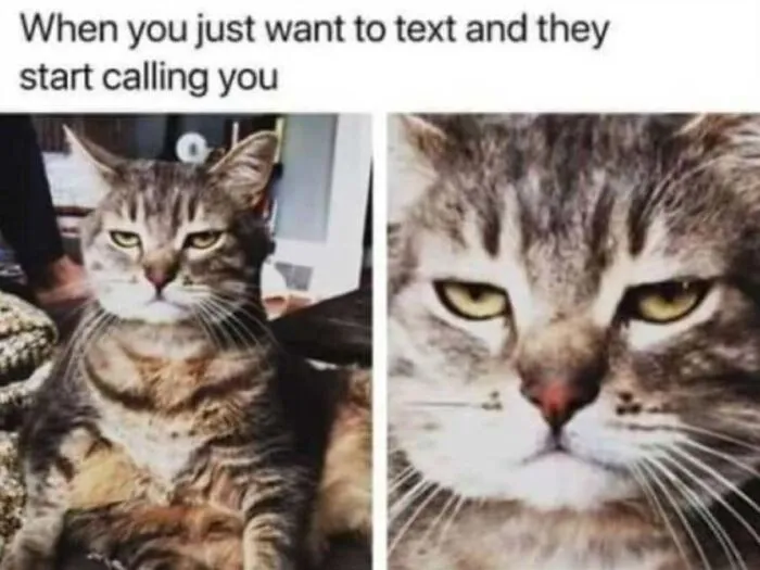 Annoyed cat meme with a close-up expression representing someone getting a phone call instead of a text.