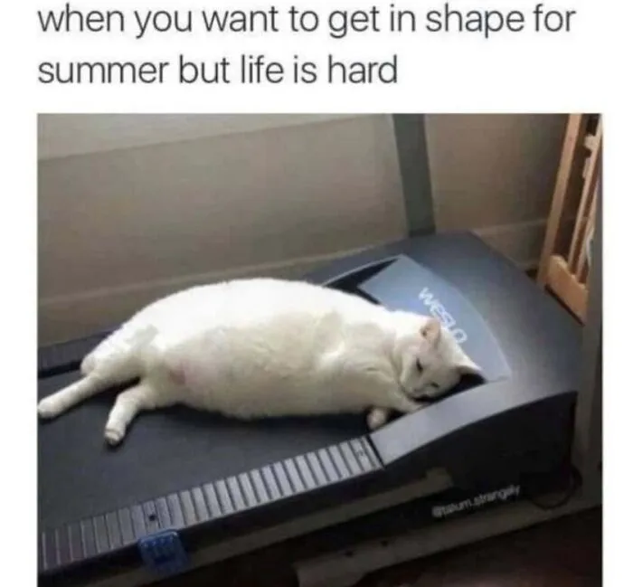 Cat memes image showing a chubby white cat sleeping peacefully on a treadmill instead of exercising.