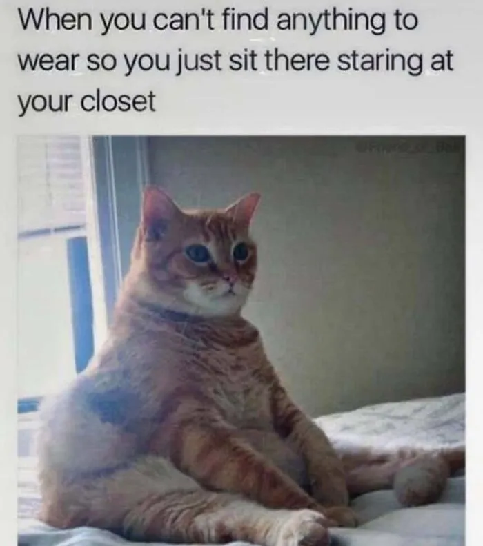 Relatable cat memes image of an orange tabby sitting up like a person and staring blankly into space.