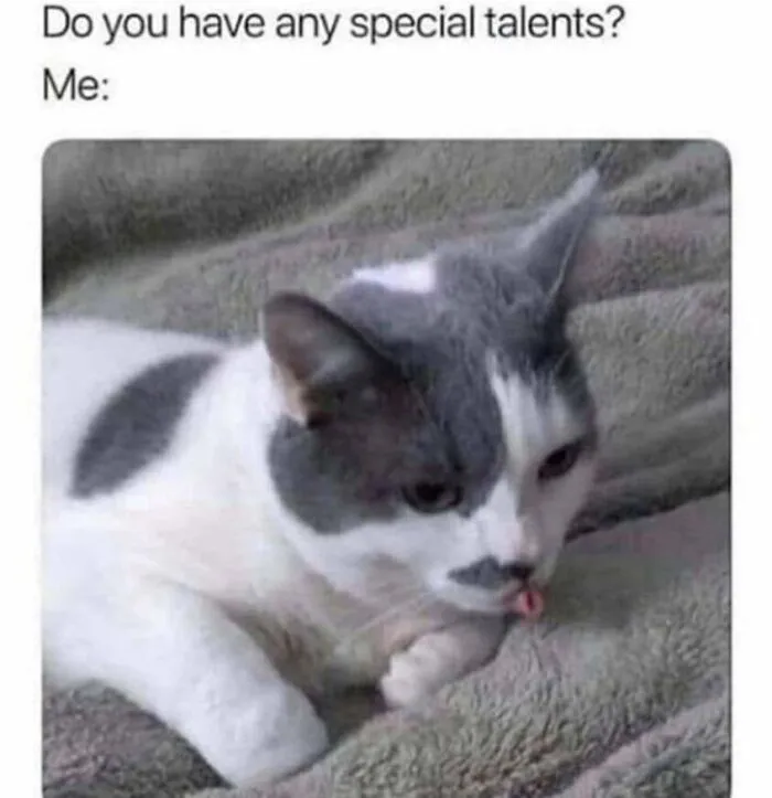 Silly cat meme showing a kitty sticking its tongue out with a funny expression.