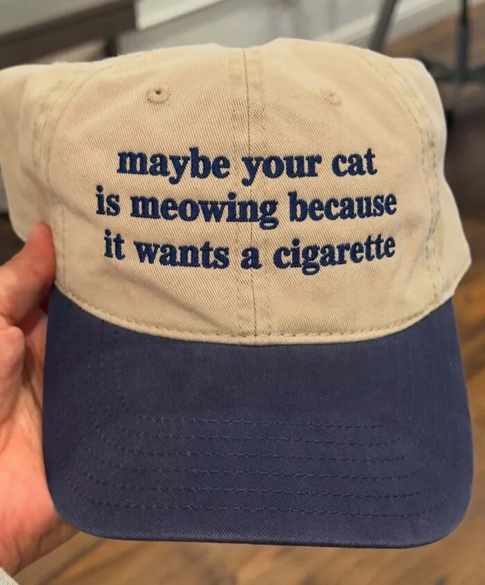 A beige and blue baseball hat with embroidered text asking if your cat wants a cigarette.