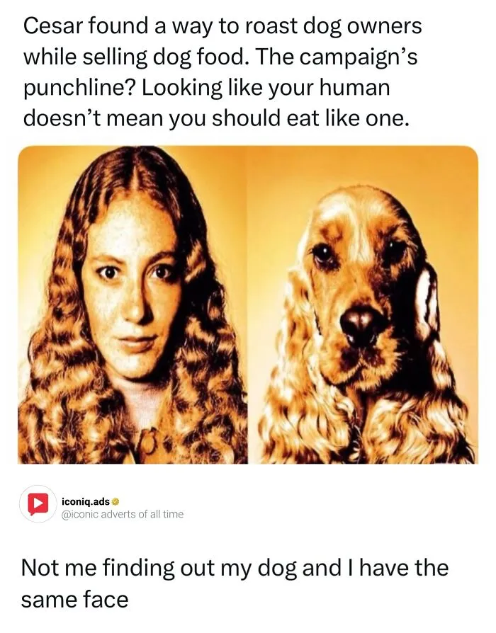 Funny side-by-side comparison ad of a woman and her dog, serving as an entertaining ad for Cesar dog food