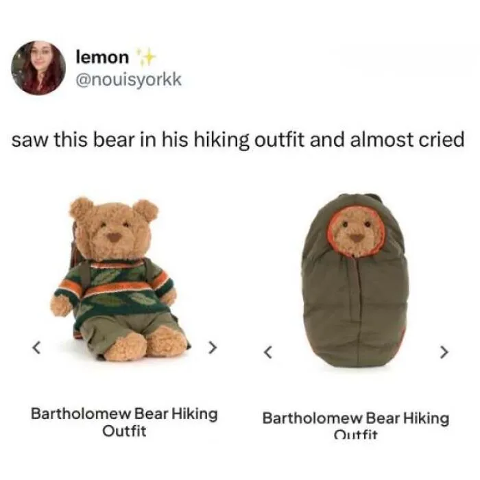 Funny tweet featuring a teddy bear in a hiking outfit as part of memes about being British