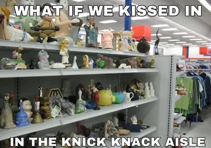 Absurd internet posts meme showcasing shelves filled with various knick-knacks at a thrift store.