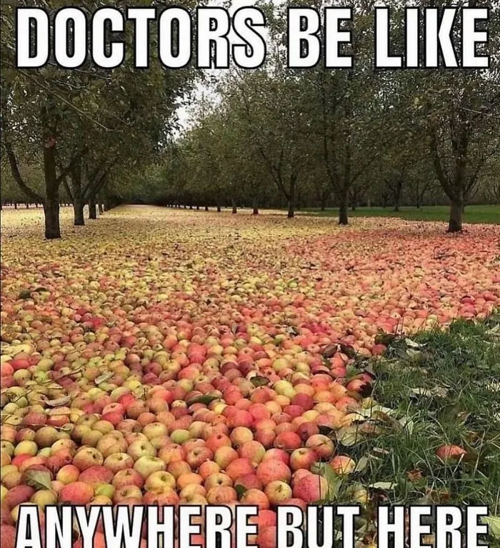 Absurd internet posts showing an orchard ground covered in apples with caption Doctors be like anywhere but here.