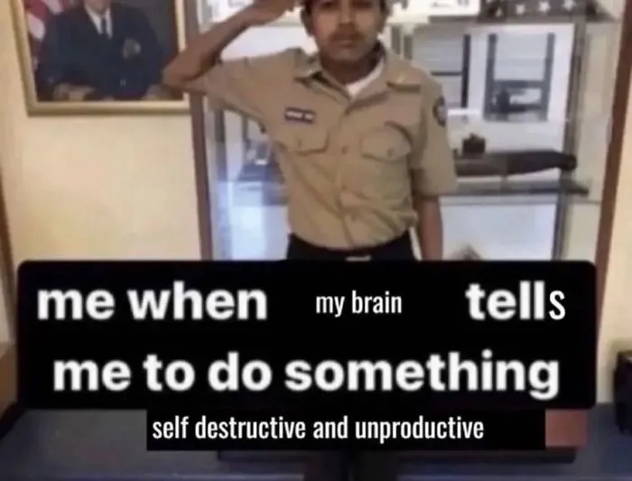 An absurd internet posts meme showing a boy saluting with funny overlaid text.
