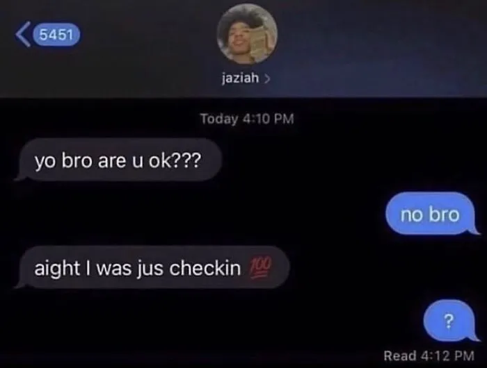 Absurd internet post showing a brief and funny text exchange checking in on a friend