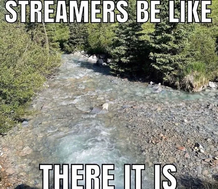 A pun meme showing a flowing forest river as absurd internet posts.