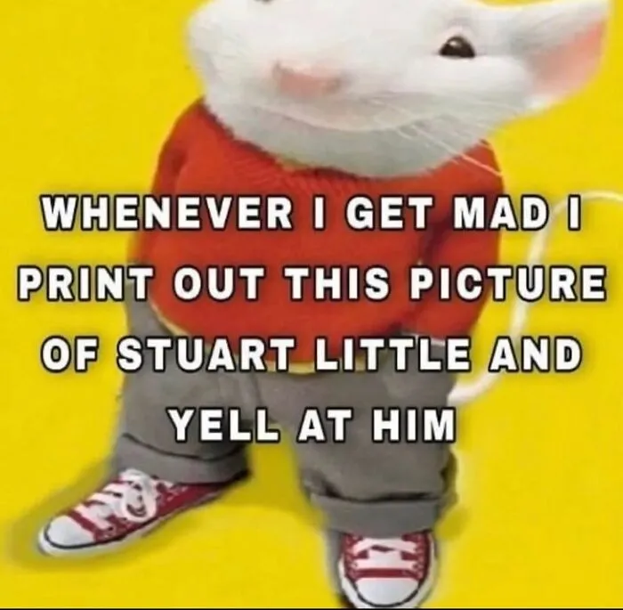 Absurd internet post featuring Stuart Little on a yellow background with meme text about yelling at him.