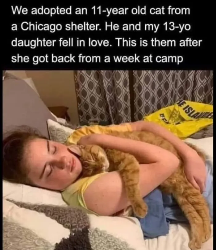 Wholesome cat meme showing a young girl cuddling her adopted orange cat