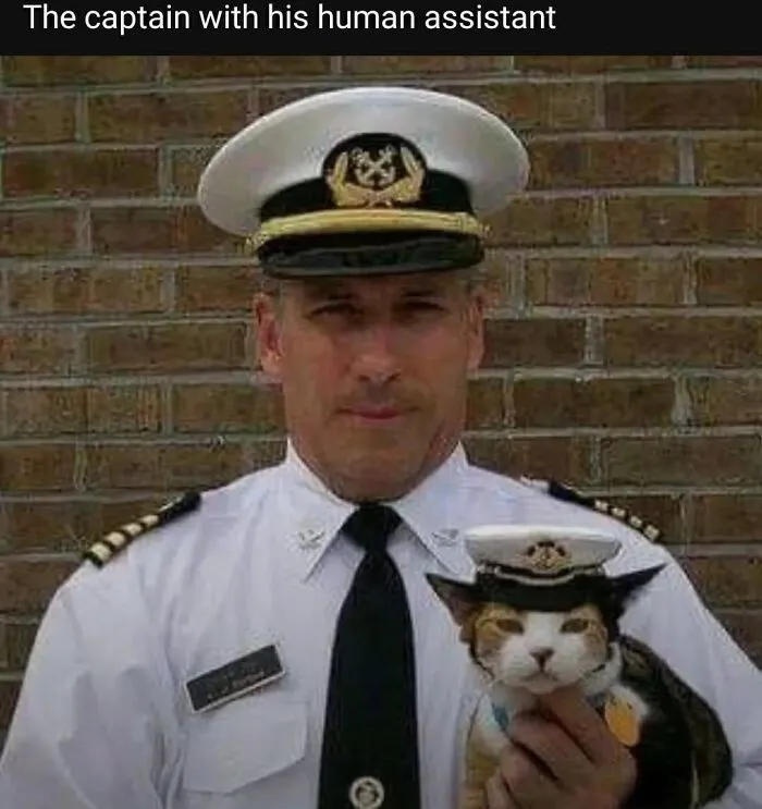 Cat memes image showing a man in a captain uniform holding a cat wearing a matching hat.