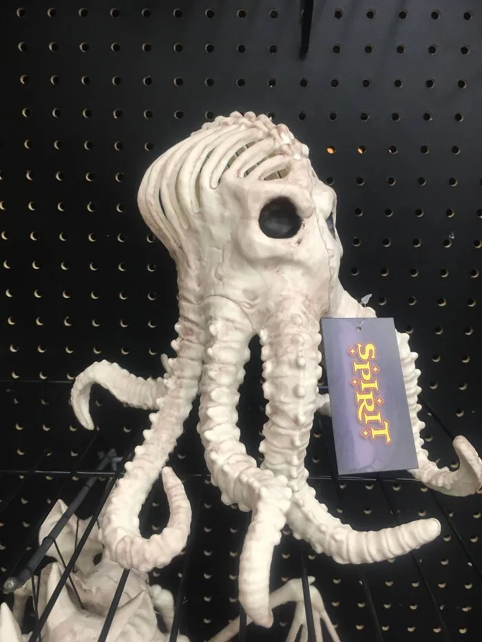 Odd skeleton octopus Halloween decoration that didn't go as planned.