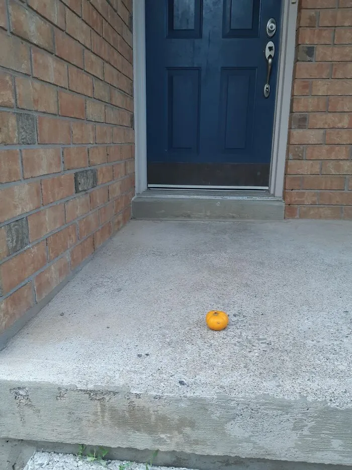 A tiny single orange pumpkin sitting alone on a large concrete porch step for Halloween