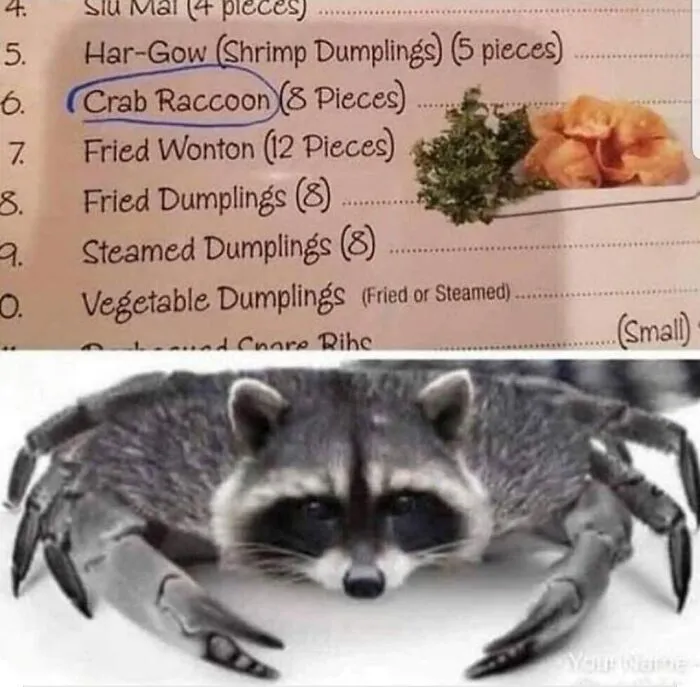 A menu listing Crab Raccoon instead of Crab Rangoon showing funny spelling fails.