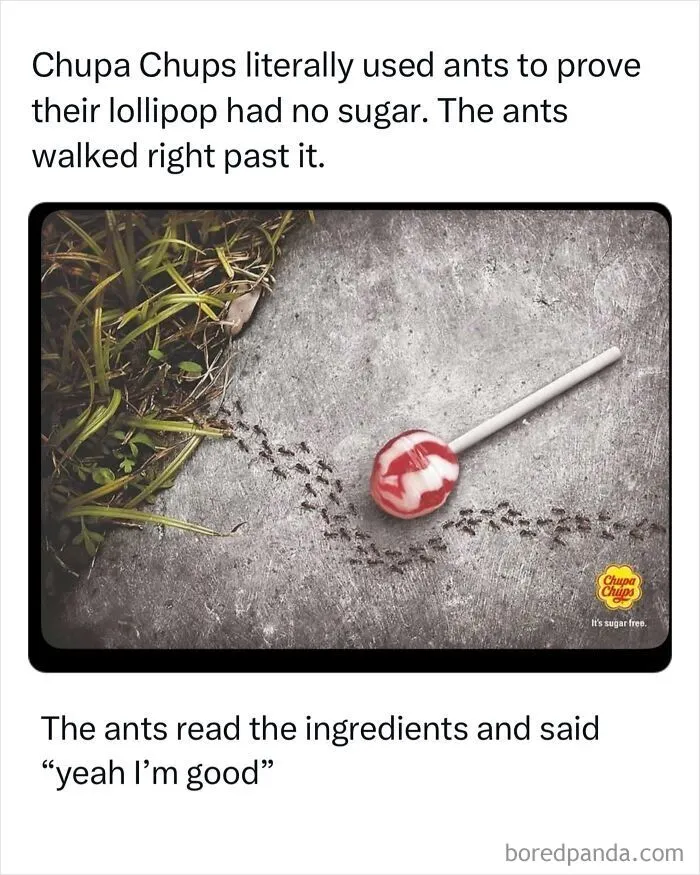 Entertaining and iconic ads featuring ants walking around a sugar free Chupa Chups lollipop on ground