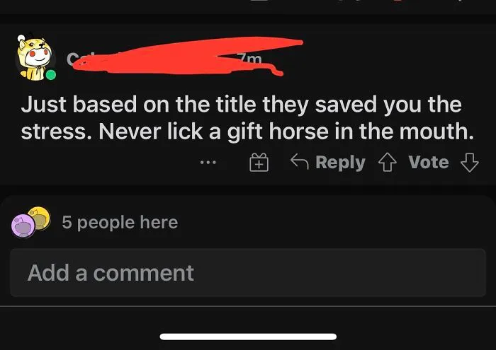 A comment showing funny spelling fails about a gift horse in the mouth