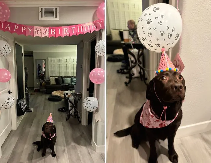 We Also Make Sure To Celebrate Her Birthdays (Especially Now Since She’s A Cancer Survivor🥰)