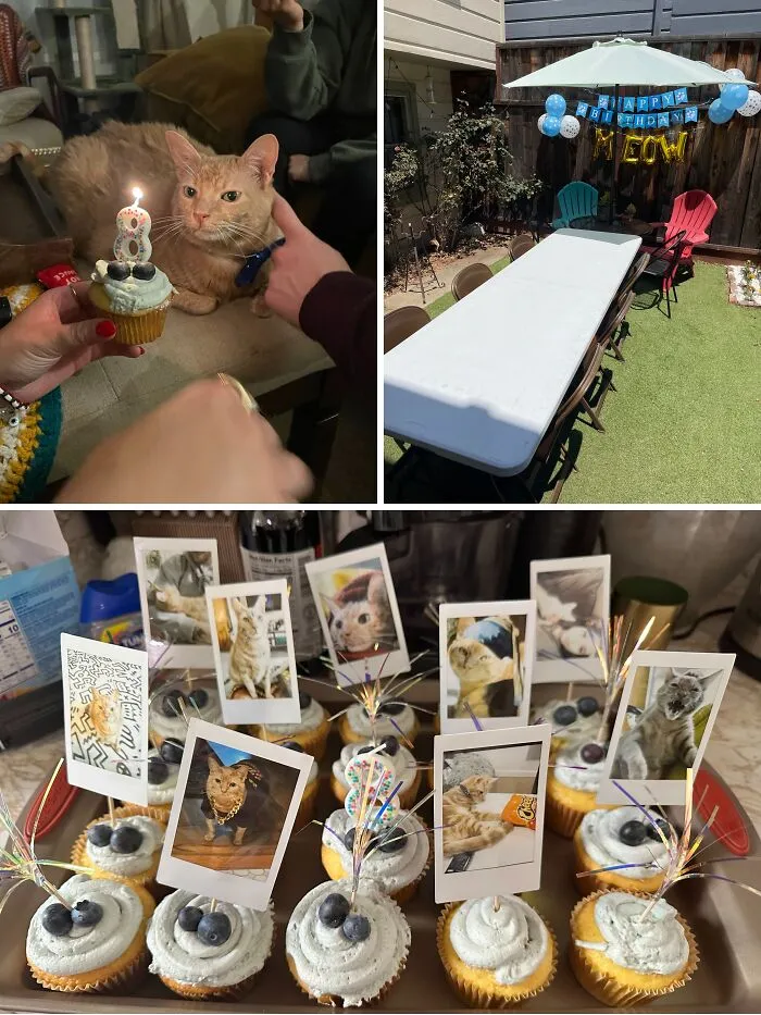 His Birthday Party Last Year. Multiple People Still Keep His Polaroids In Their Wallets Or On Their Fridge 🥲