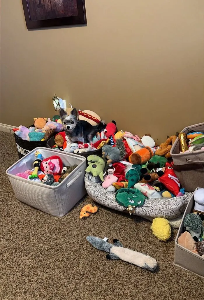 Multiple Toy Boxes