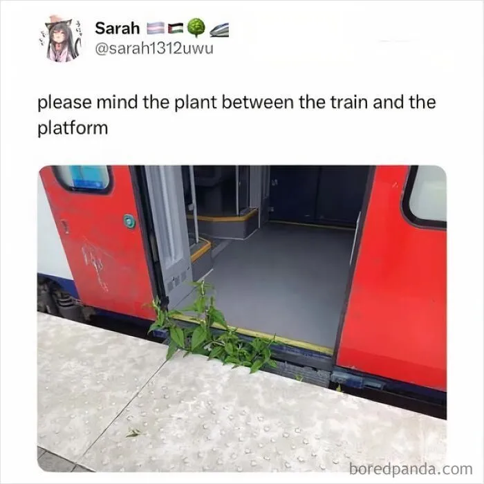 Funny post about being British featuring a plant growing in the gap between a train and platform.