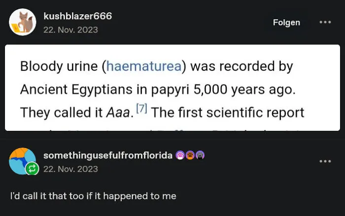 Funny screenshot of chaotic Tumblr post discussing ancient Egyptian medical history.