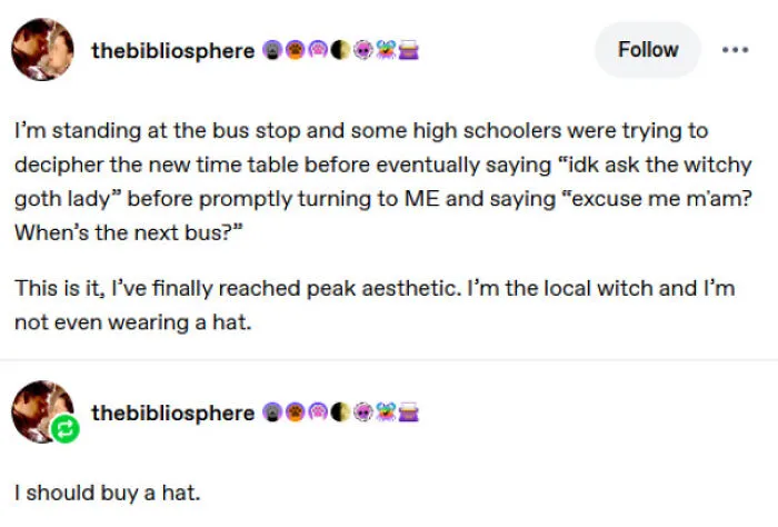 Screenshot of hilarious Tumblr posts about being called a witchy goth lady at a bus stop.