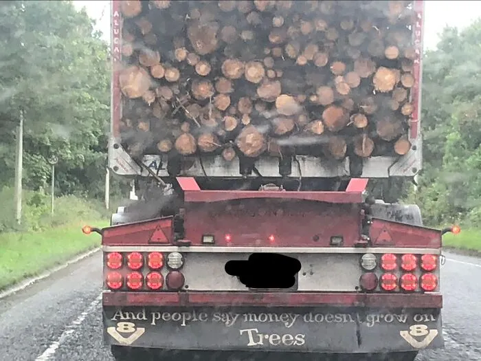 Logging truck mud flap with hilarious joke saying And people say money doesn’t grow on Trees