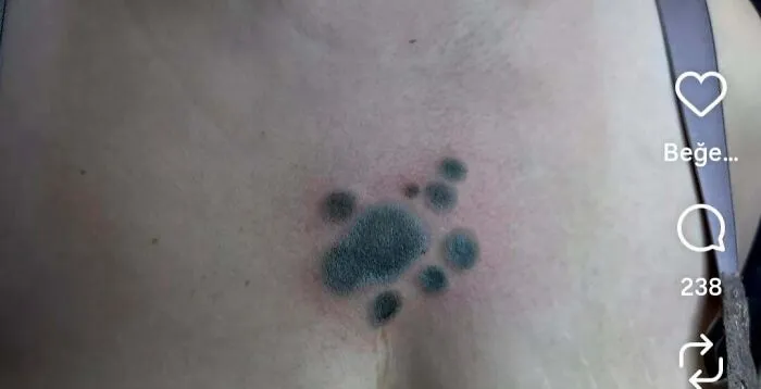Paw print chest tattoo design featured among awful creations.