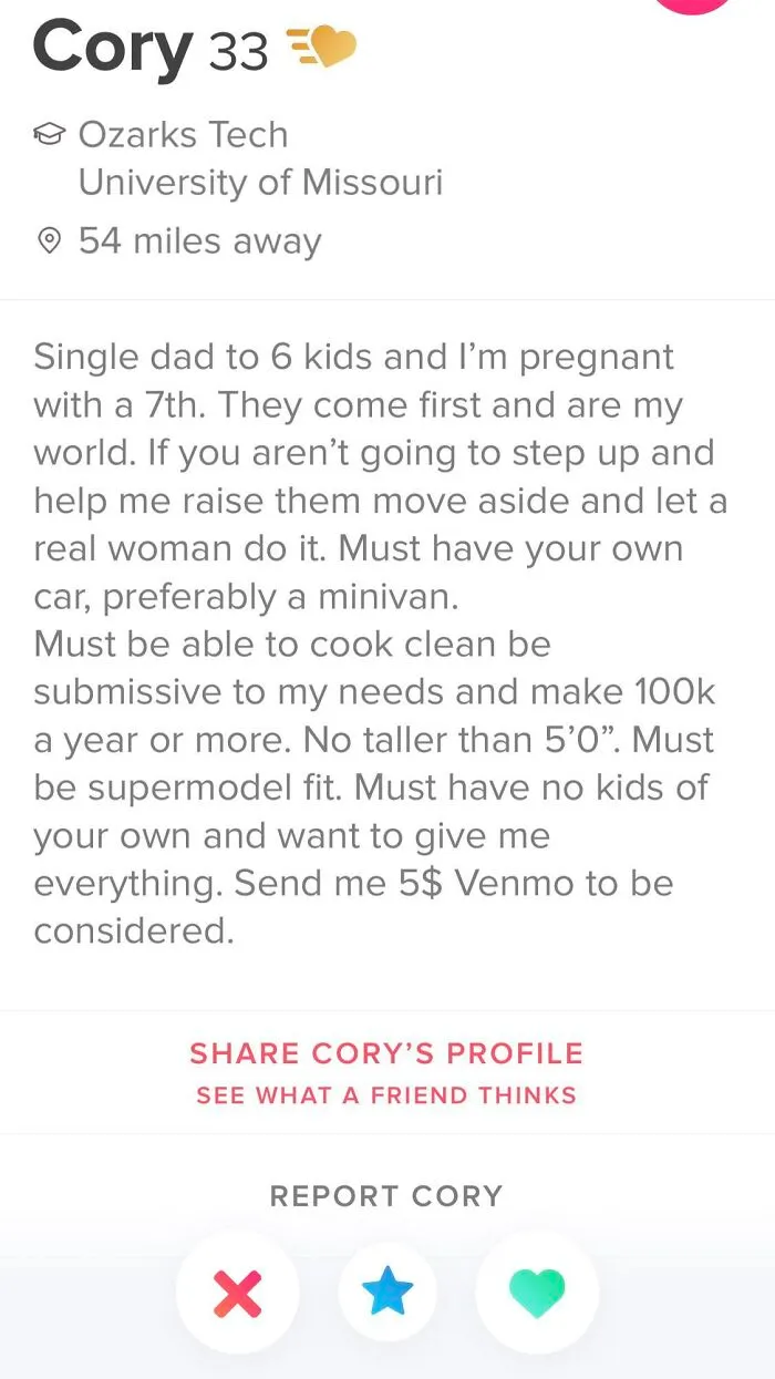 A screenshot of a frustrating Tinder profile listing a long list of unrealistic demands.