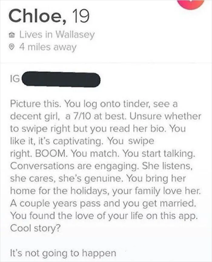 Sarcastic Tinder bio reflecting realistic expectations in modern dating