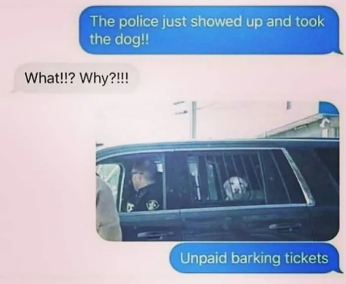 Funny dog meme showing a text conversation about a dog sitting in the back of a police car.