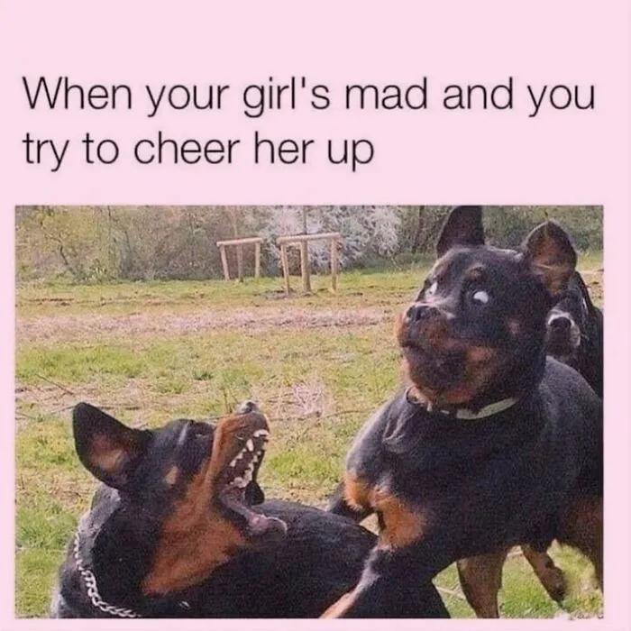 One dog aggressively barking at another funny dog in a humorous meme format.