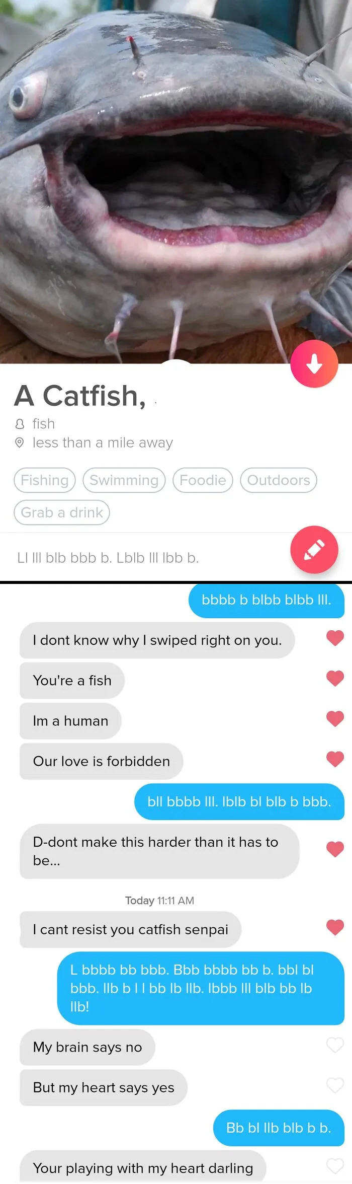 Frustrating Tinder story screenshot showing a joke profile made for a catfish