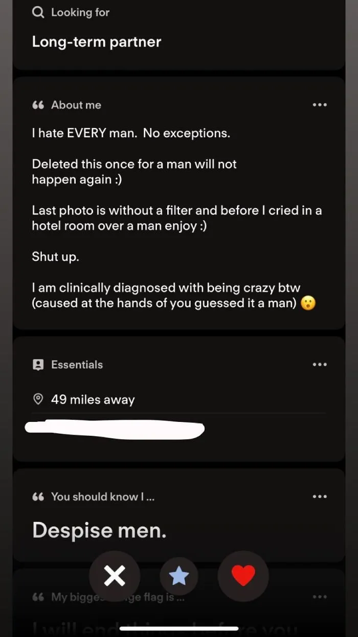 Dating app profile bio expressing extreme dislike for men as a Tinder story example of modern dating.