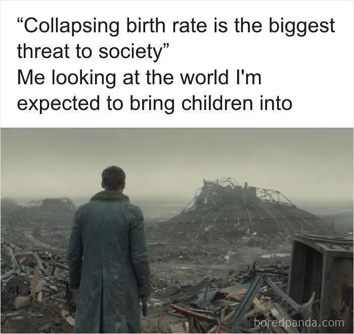 A dark dystopian meme showing a person looking over a ruined landscape, illustrating societal collapse and low birth rates.