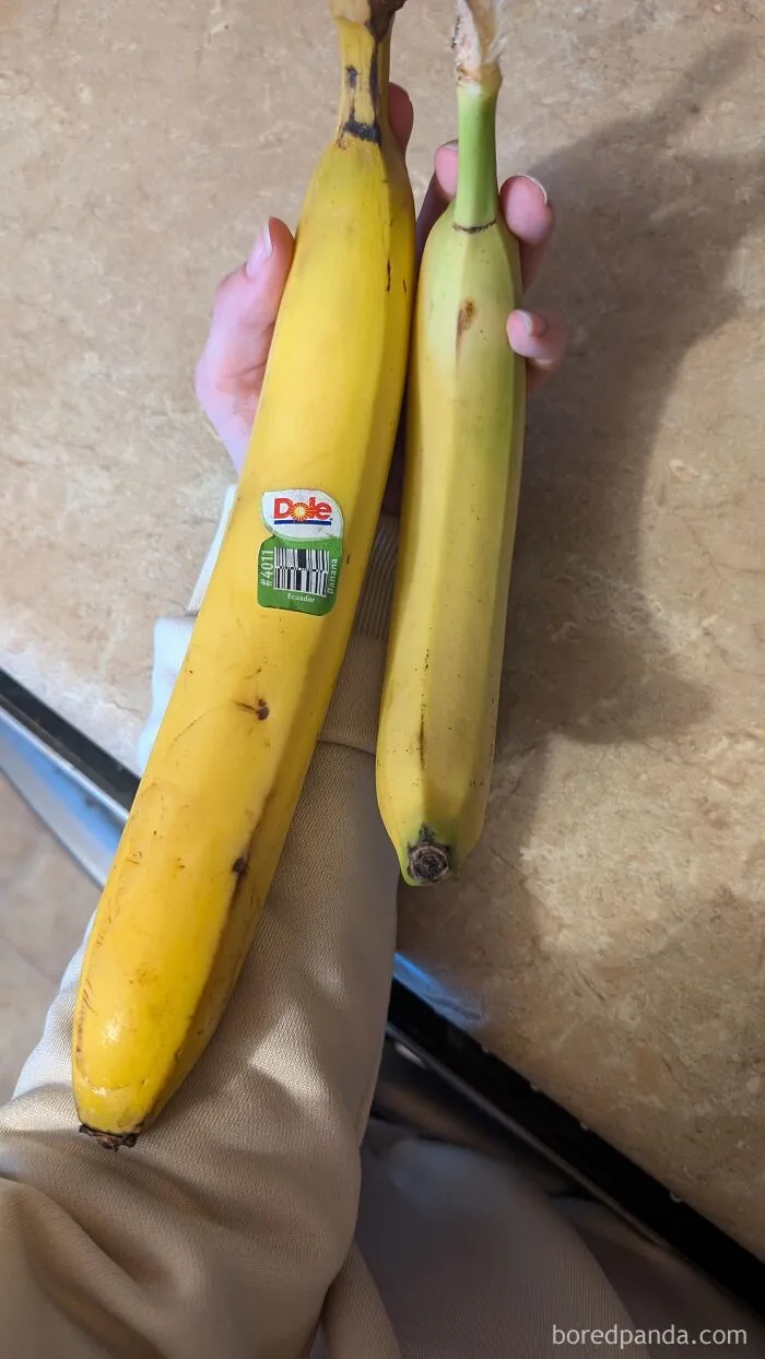 A hand holding two bananas of different sizes, illustrating funny posts about the metric system.