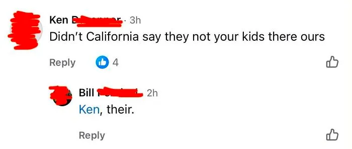 Social media comment thread with grammar correction showing someone being confidently wrong online