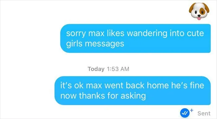 Screenshot of an unhelpful pickup line featuring a dog emoji, illustrating amusing Tinder stories.
