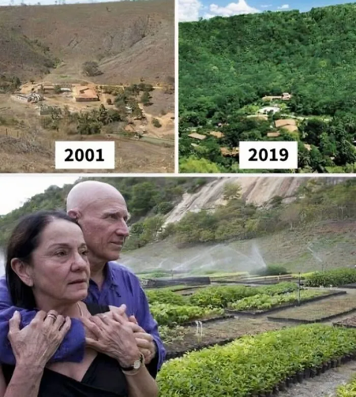 Comparison photos from 2001 and 2019 showing forest restoration next to a couple, revealing facts about the past.