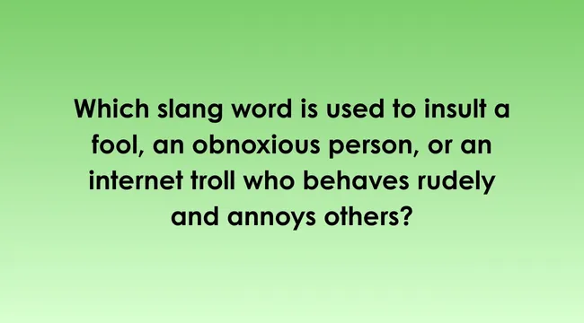 Question asking which slang words in America insult a fool or troll, displayed on a green background