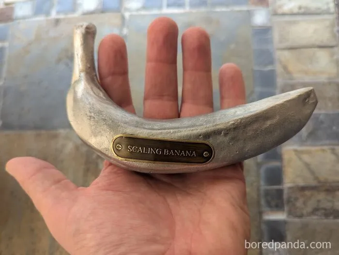 A metal prop labeled scaling banana showing funny non metric system measurement object.