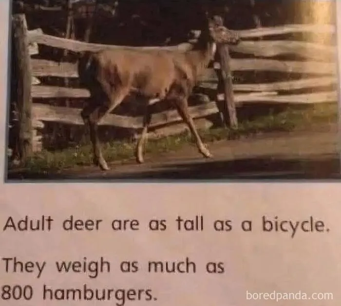 Deer measurement meme comparing weight to hamburgers instead of the metric system.