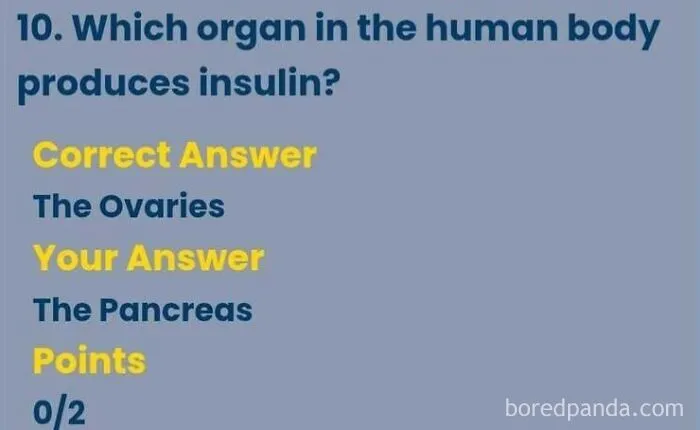 A online quiz showing a wrong answer marking the pancreas incorrect for producing insulin, example of being confidently wrong.