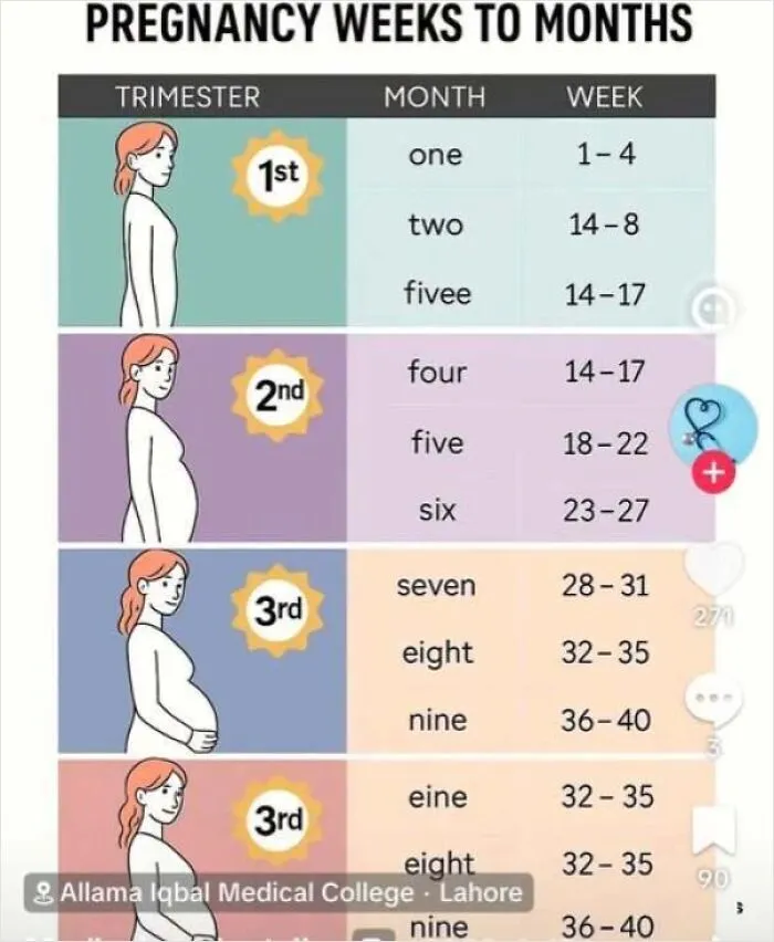 An inaccurate chart showing pregnancy weeks to months, featuring people confidently wrong about medical info.